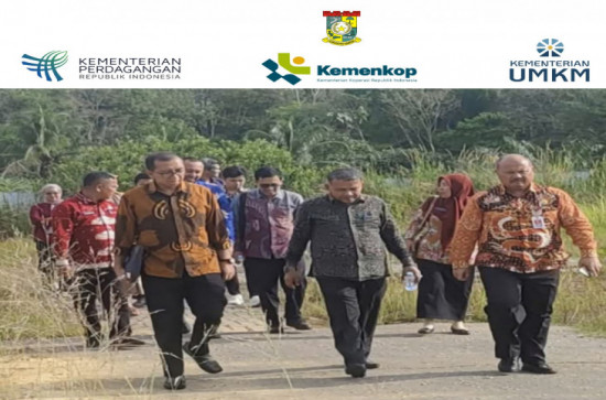 Staf Ahli Kementerian Koperasi Republik Indonesia Kunjungi Desa Pulau Gadang, Warga Apresiasi